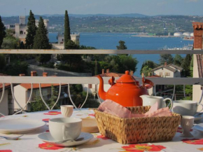 Vila Flori, Koper
